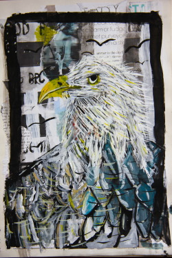creativeoctagon:  BRAVE BIRD OF AMERICA.  Inspired by that video