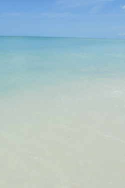 chiiak:  barefoot beach, florida 