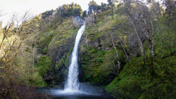 theencompassingworld:  czechthecount:  Horse Tail Falls by czechthecount: