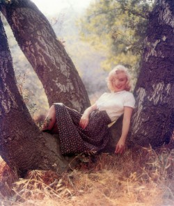 retrogasm:  Marilyn of the forest 