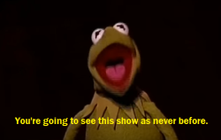 ryanccole:The Muppet Show Live (2001)