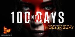 The Mockingjay Part 2 poster has the word ‘cunt’ on it and
