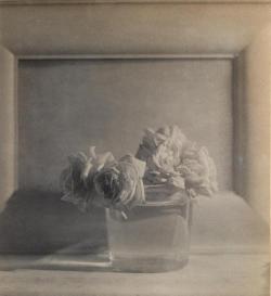 rivesveronique: Baron Adolf de Meyer  (1868-1946) Roses in vase