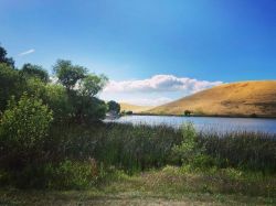 Like a painting. #contraloma  (at Contra Loma Regional Park)