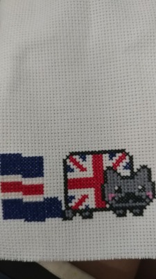 A cute British nyan cat that I’m almost done with.  I’m