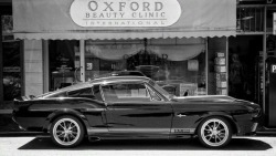 musclecarshq:  Stunning Mustang GT500…More About Classic Muscle