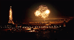 awesomeagu:  Fireworks, New Yearâ€™s Eve Paris