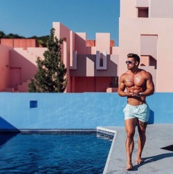 Adonis Files