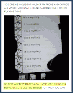 srsfunny:  It is a mystery…http://srsfunny.tumblr.com/ 