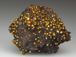 mineralists:  Wulfenite on Gossan matrix. Whim Creek, Australia