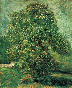 dappledwithshadow:Chestnut Tree in Blossom, Vincent van Gogh1887