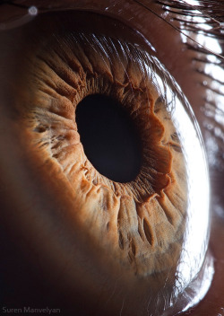 laughingsquid:  Your Beautiful Eyes, Extreme Close-Up Photos