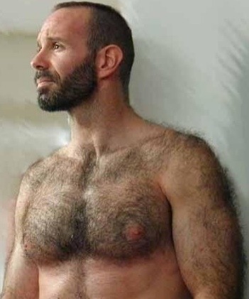 bearslands2: