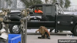 gif-guy:  http://gif-guy.tumblr.com/  Bitch!