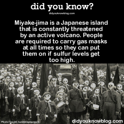 did-you-kno:  Miyake-jima is a Japanese island that is constantly