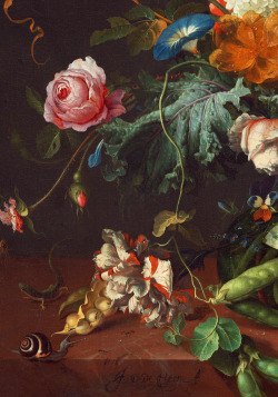 jaded-mandarin:  Jan Davidsz de Heem. Detail from Vase of Flowers,