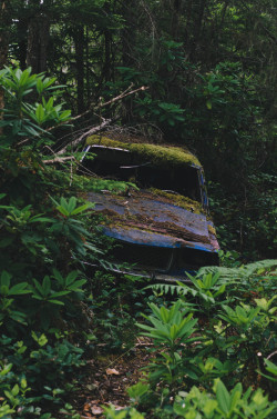 millivedder:  Abandoned Car, Seabeck 