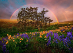 awkwardsituationist:  photos by marc adamus along the west