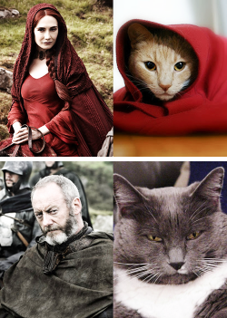 tastefullyoffensive:  Game of Cats