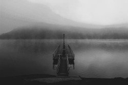 danielodowd:  the pursuasiveness of loss