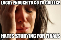 Finals Week Memes