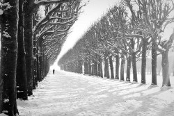 wintertiming:  Parc de l’Observatoire, sous la neige by Véro