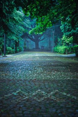 bluepueblo:  Cobblestone Street, Braga, Portugal photo via tiia