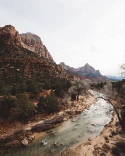 bryandaugherty:  Zion National Park, Utah. 