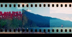 humoristics:My camera failed to advance the film and created