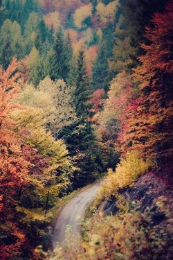 mecp1103:  Beautiful♥Autumn en We Heart It. http://weheartit.com/entry/67753400/via/Wafaamarro