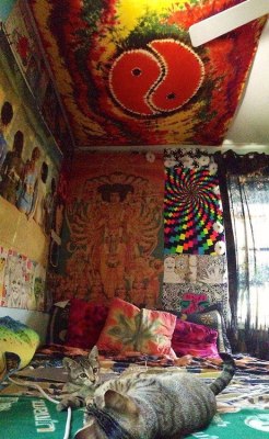 psychedelic-helpdesk:  a—v-a-l-o-n:  can i have this room please