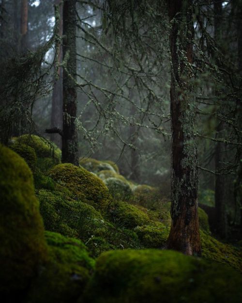 quartzprinz:by  grovetwig  
