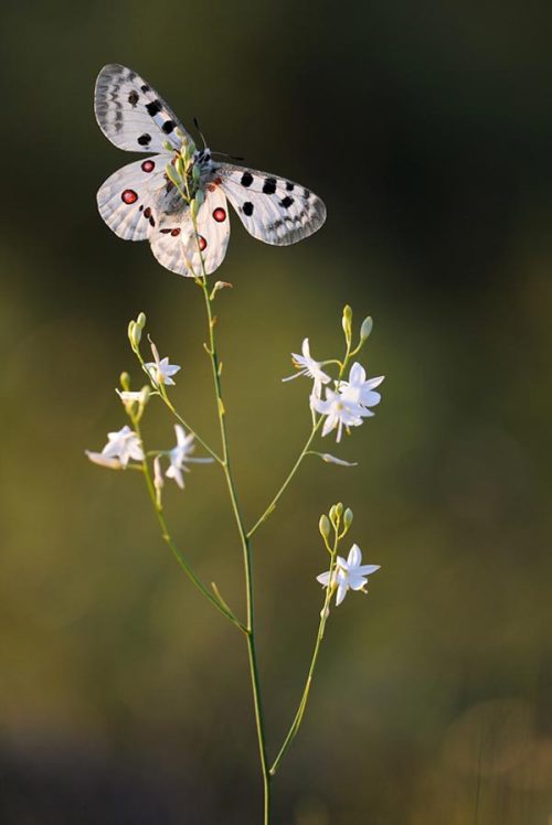 Beautiful and fragile, like the Earth