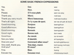 can-u-not-my-wayward-son:  monaters:  my mom has a CD of french