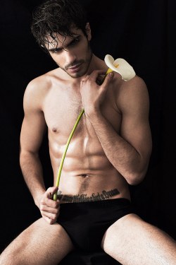 trashyprinces:  Alex Rousseau by Domonick Gravine.