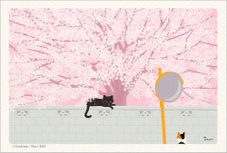 artandcetera: TABINEKO, Toshinori Mori A cat on a journey. 