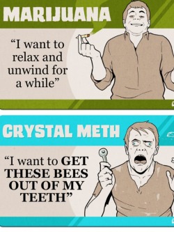 dumpyourweedbrah:  How the drugs you do, describe who you are.