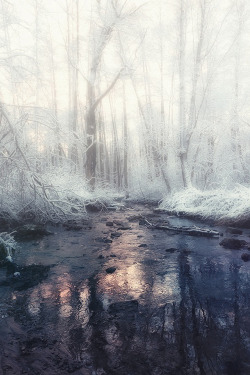 atraversso:  Winter’s tale  by Yanobninsk10  