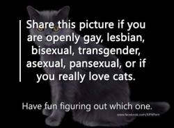 franklycats:  Share this picture if you are openly gay, lesbian,