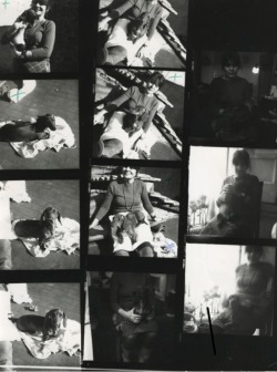 grigiabot:  Francesca Woodman contact sheet from a photo session