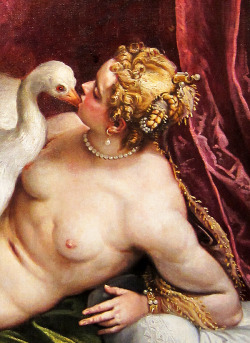 jaded-mandarin:  Paolo Veronese. Detail from Leda and the Swan.
