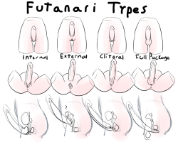 futafapper:  vizia-the-mod:  Futa types by Zezka For those who don’t know.  Which do you like best? I prefer the Full Package.  Full package as well, or external, at least.