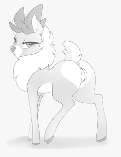 Fightin herds sassy deer butt