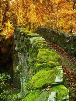 bonitavista:  Northern Ireland  photo via jarlath  