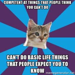 fumbledeegrumble:  neurodiversitysci:An Autistic Kitten meme