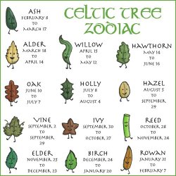 northorchard:  The Celtic Tree Zodiac is based on the ancient idea that the time of our births is pivotal to the formation of our personality and behavior. The spiritually savvy Celts, particularly the druids were expert observers. Over time, they recogni