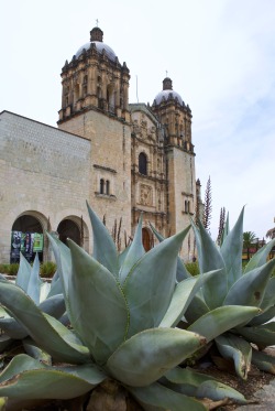 casspalacios:  ¡Fuerza México! ¡Fuerza Oaxaca!  Templo de