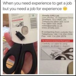 wiselwisel:  Cuando necesitas experiencia para tener un trabajo