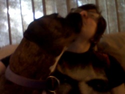 I was trying to take a picture, but my dog much preferred kissing.