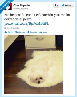 alochucknorris:  Helado de perro por @ninya_repollo Visto en